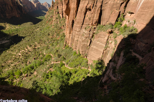 ANGELS LANDING TRAIL EN ZION N.P. - OESTE DE EEUU 2015. UN MES POR LOS PARQUES NATURALES DE 6 ESTADOS (TERMINADO!!) (10)