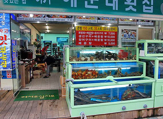 Busan fish ff