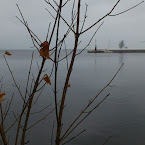 Late Autumn by the lake. DSC_5502.jpg