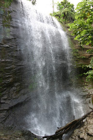 Mt. Carmel Falls, Grenada