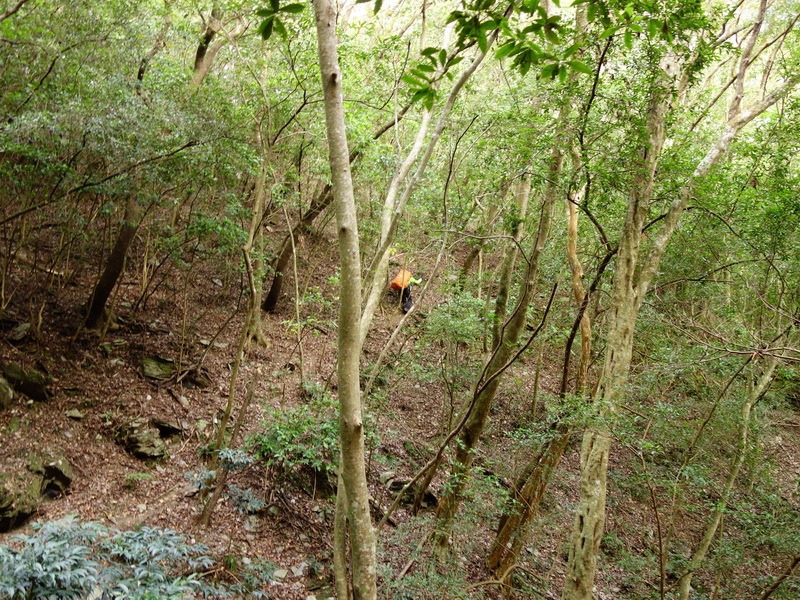 2014_0101-0105 萬山神石、萬山岩雕順訪萬頭蘭山_0154