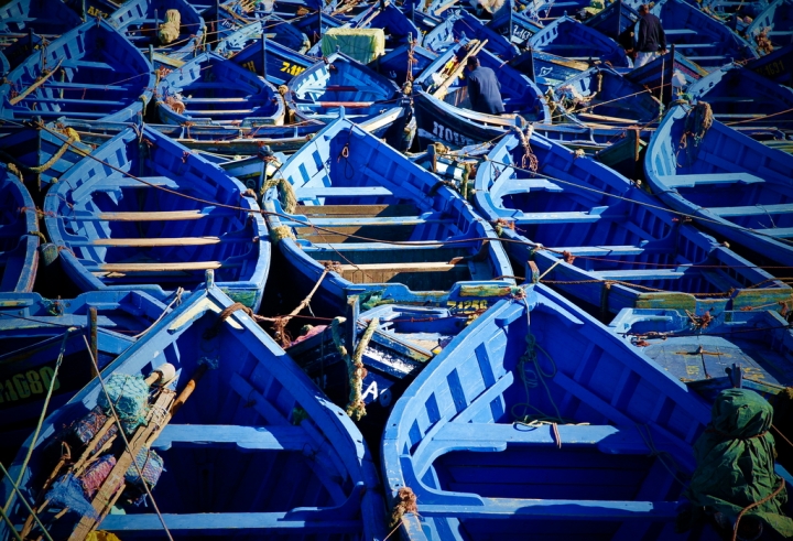 Giornata di Pesca di PhotoD