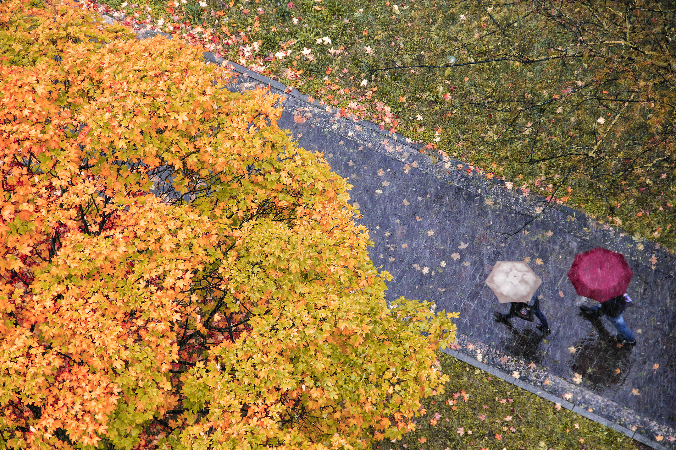 Autunno in città di Yoyo