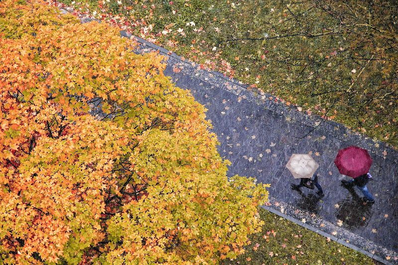 Autunno in città di Yoyo