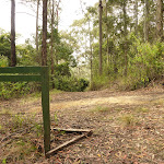 Intersection with German Point Rd in the Watagans (321572)