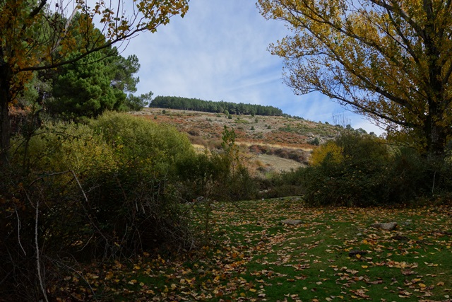 Comunidad de Madrid: pueblos, rutas y lugares, incluyendo senderismo - Blogs de España - Cascada del Hornillo, Sta. Mª de la Alameda (Madrid). Monasterio del Escorial. (20)
