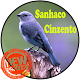 Download Canto Sanhaco Cinzento For PC Windows and Mac 1.0