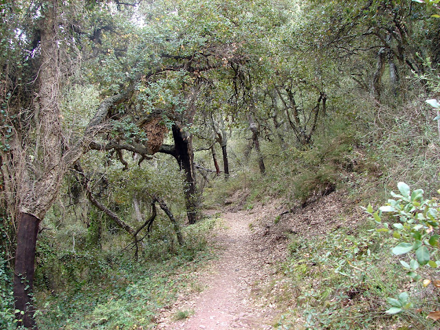 Senderismo - GR-36 Montanejos - Alcudia de Veo