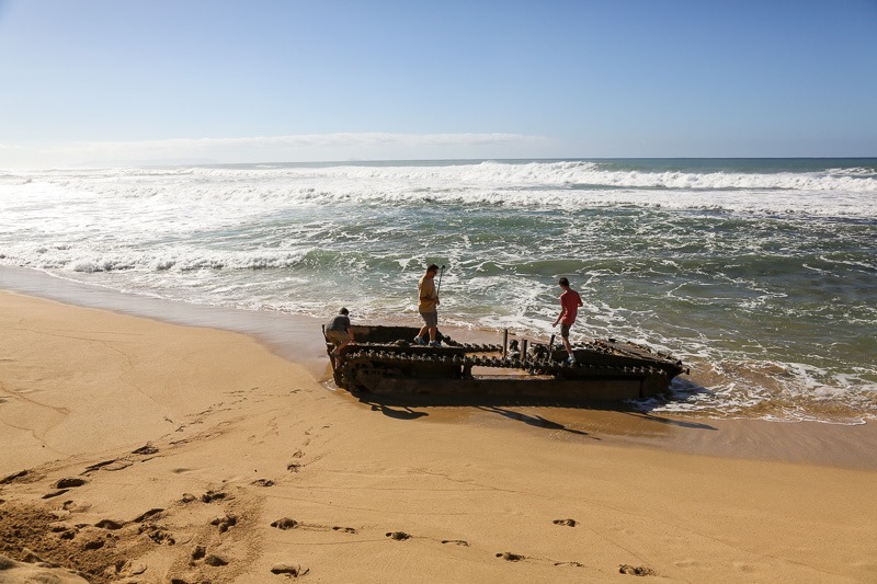 polihale-6