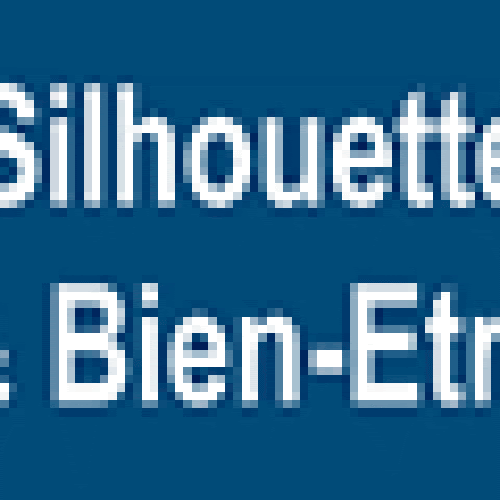 Silhouette Et Bien-Etre logo