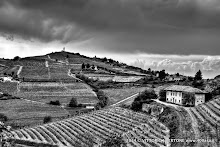 25 aprile 2014 Santo Stefano Belbo e Canelli - fotografia di Vittorio Ubertone