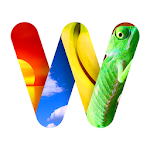 Cover Image of Download 100 PICS Word Search - FREE 1.0.5.1 APK