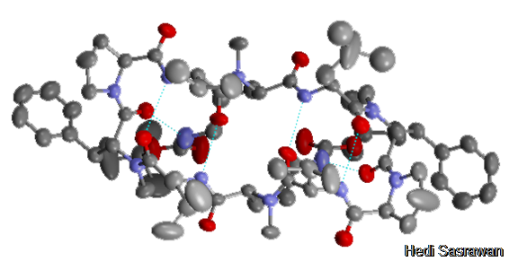 5 Fungsi Protein