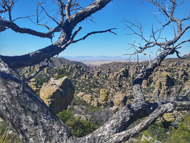 Etapa 18: Lordsburg - Chiricahua - Saguaro - Casa Grande - Southwest USA Road Trip Loop (7)