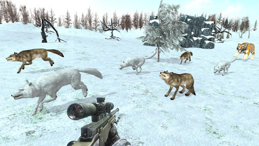 Safari Hunt 3D