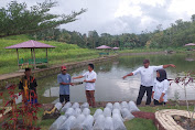 Jelang Pergantian Tahun Kades Timusu Tabur Ribuan Benih Ikan Mas