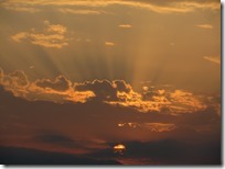 IMG_0004 IMG_0004