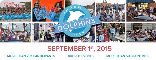 japan dolphins day