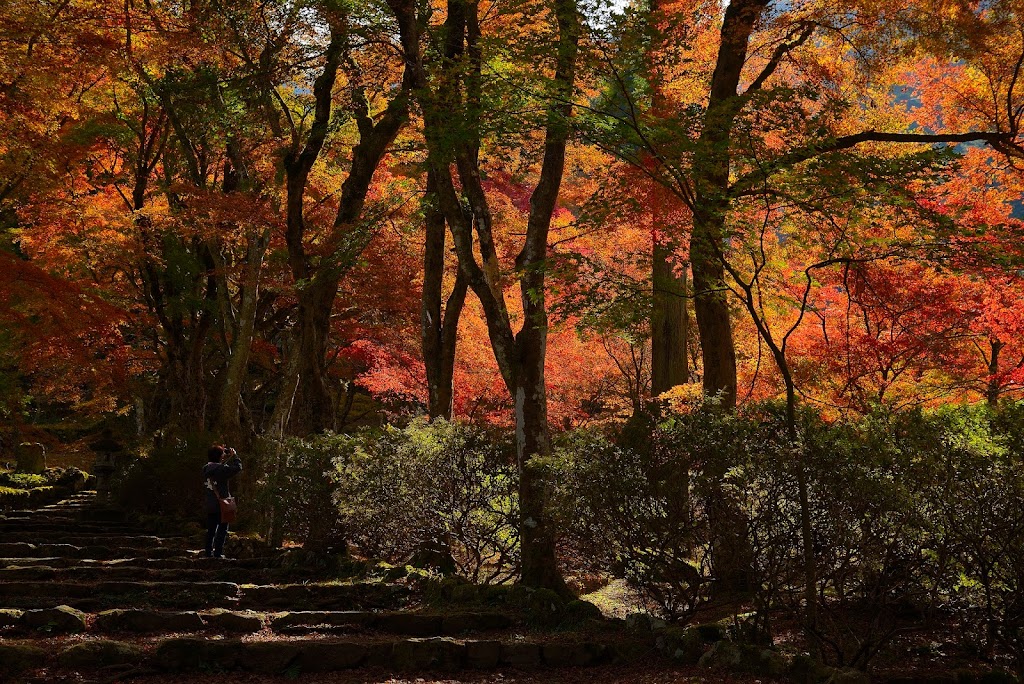 高源寺の紅葉