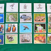 Montessori Inspired Animal Classification Activities