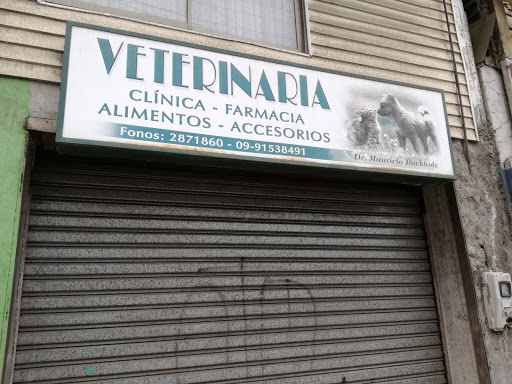 clinica veterinaria, Pedro Aguirre Cerda 801-899, Lota, Región del Bío Bío, Chile, Cuidado veterinario | Bíobío