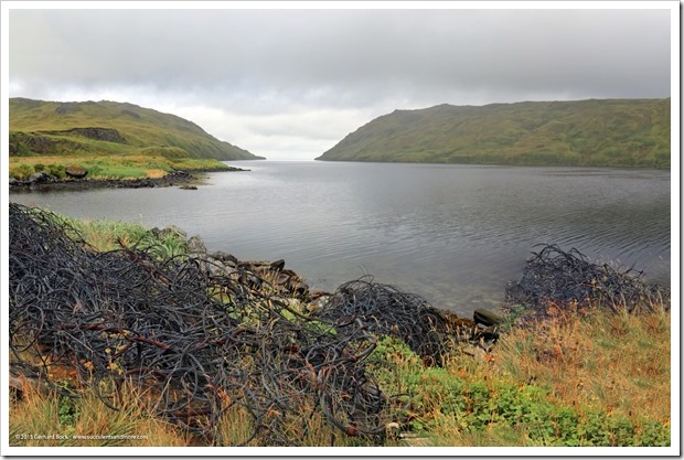 150908_Adak_FingerBay_submarine_net_WM