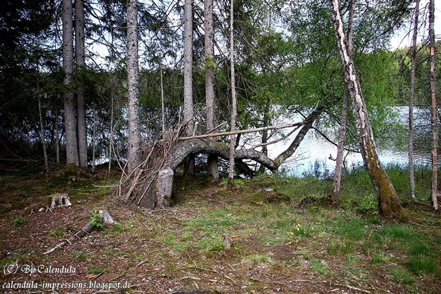 Windgfällweiher Seerundgang