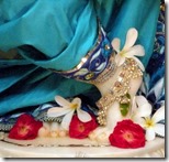 [Krishna's lotus feet]