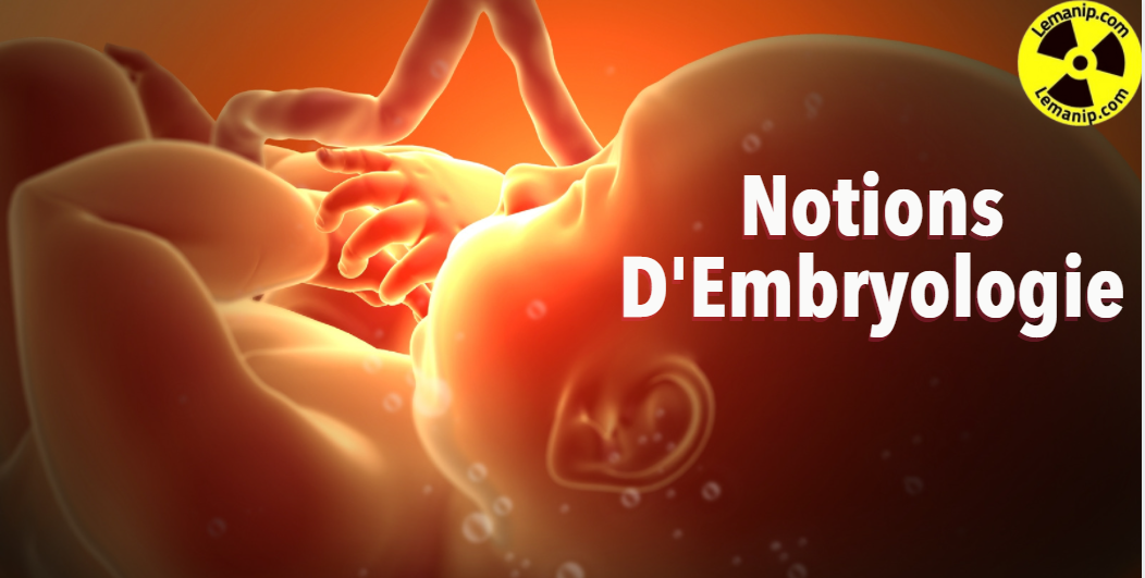 Notions D'Embryologie