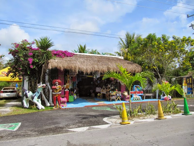 COZUMEL - DISNEYWORLD, PLAYAS DE FLORIDA Y NAVEGANDO POR EL CARIBE (13)