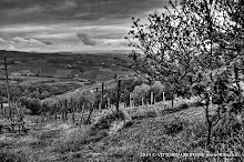 21 aprile 2014 Castiglione Tinella - fotografia di Vittorio Ubertone