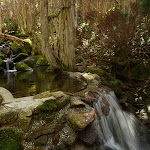 A small weir on Meadows Nature Track (276662)