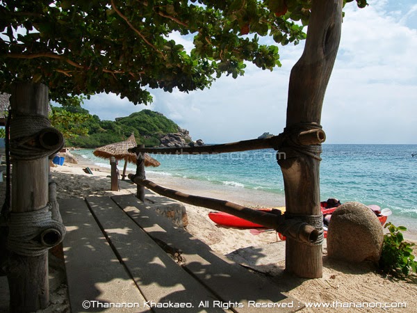 koh tao thailand