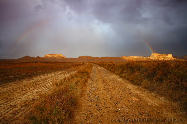 BARDENAS REALES y OLITE - Ocho días en familia entre el PAIS VASCO y NAVARRA (12)