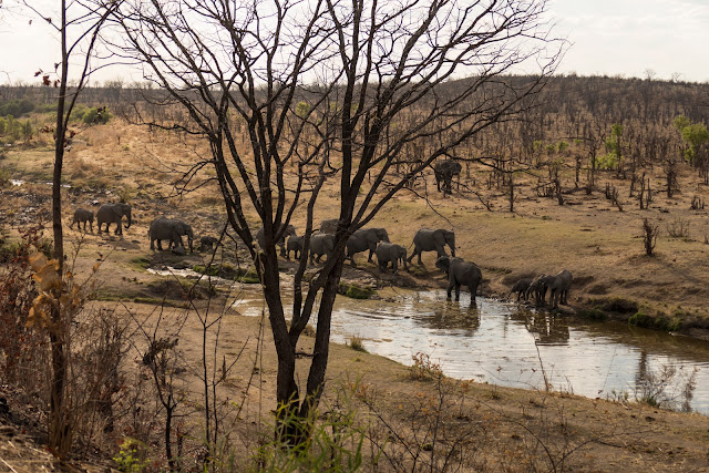 Botswana et Zimbabwe en octobre BotsZim_Oct2015_603