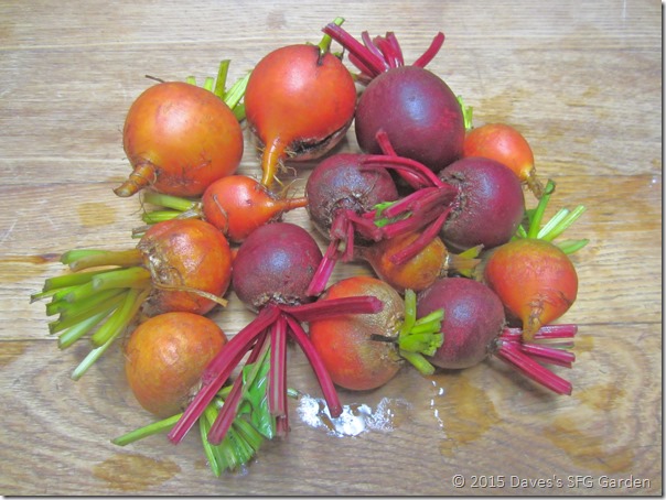 Beets