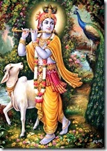 [Lord Krishna]