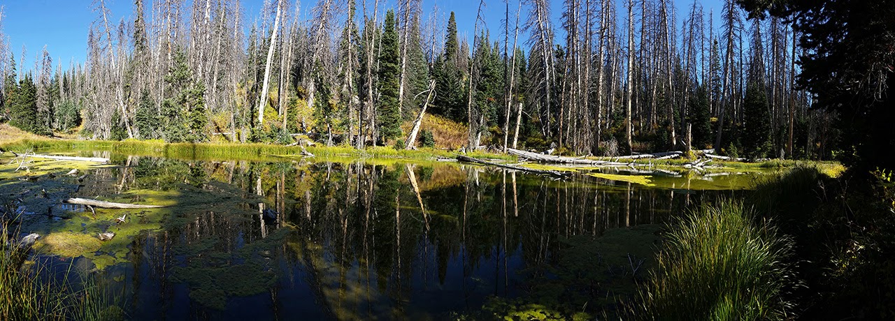 Etapa 12: Bryce Canyon y Cedar Breaks - De Chicago a Las Vegas + Washington DC en solitario (15)