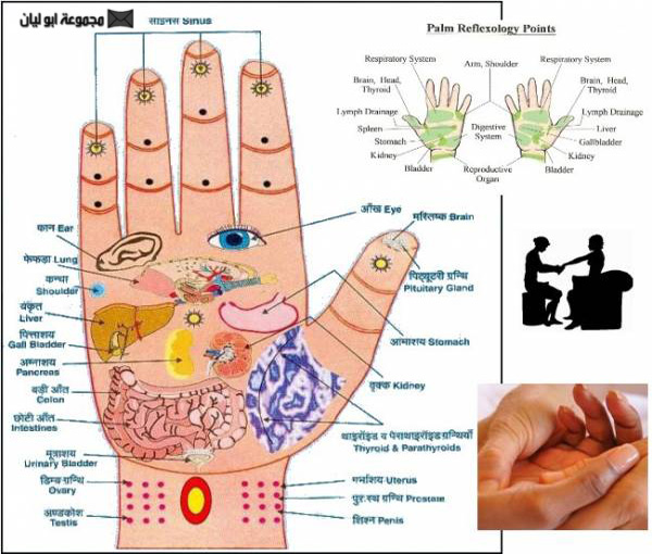  التدليك (المساج) فوائده - طرقه_ أنواعه Image007