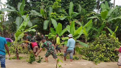 Tak Pernah Kenal Lelah Babinsa Koramil 02/ Padang Tiji Gotong Royong Bersihkan Pohon Tumbang