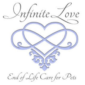 Infinite Love- End of Life Care for Pets