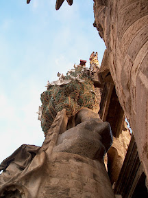 Looking up to the cypress tree, Sagrada Familia