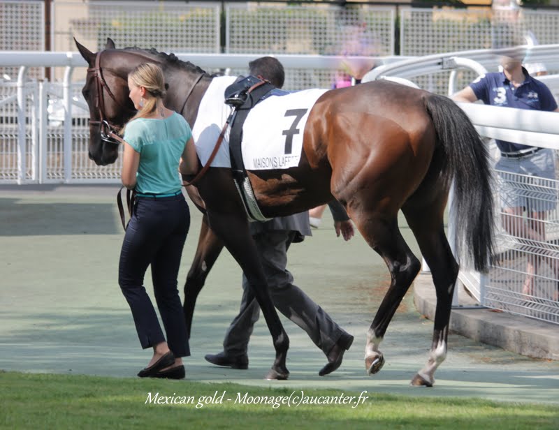 Photos Maisons-Laffitte 5-07-2015 IMG_2456