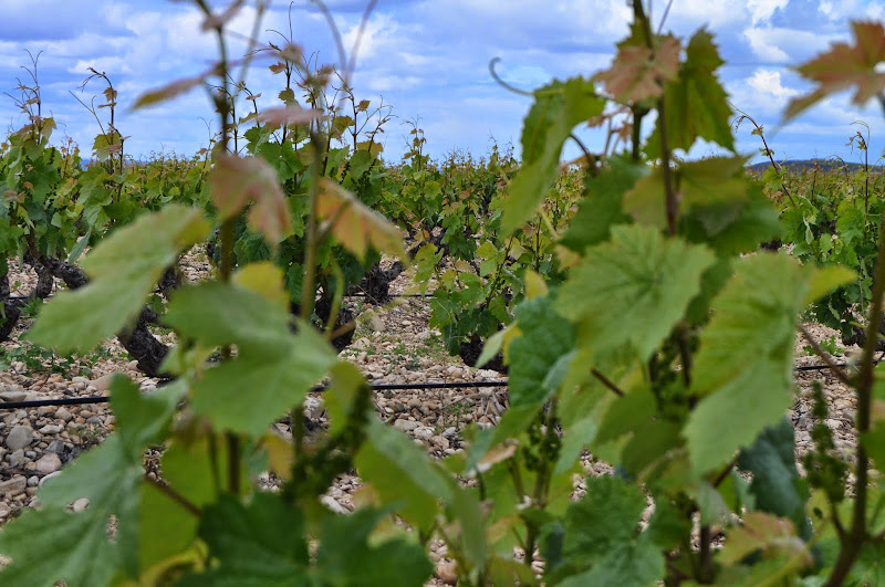 Hauptbild von Bodega Castillo De Eneriz