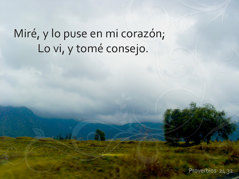 Proverbios 24.31