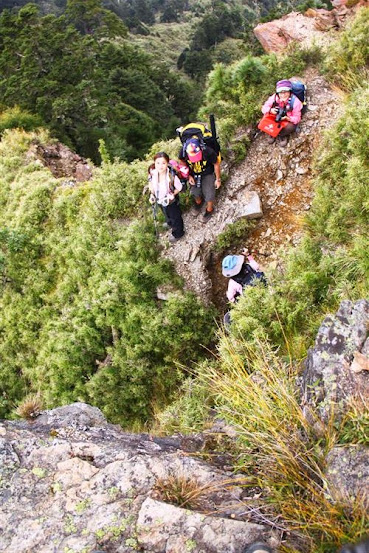 【百岳郡大西巒】郡大山、西巒大山｜箭竹林與伐木遺址