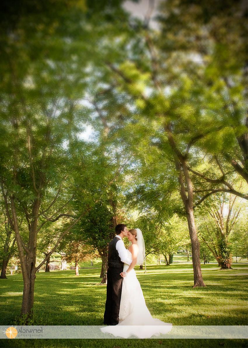 Louis Arch Wedding Photos