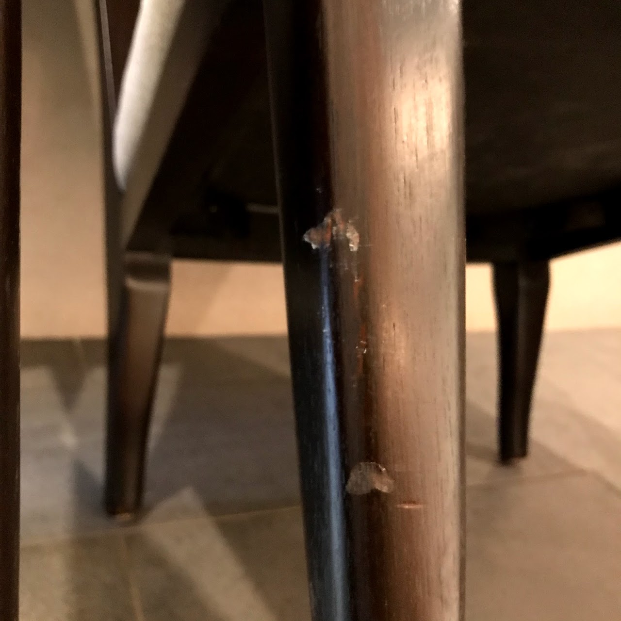 Contemporary Side Chair Pair