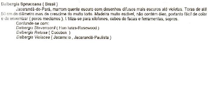 Projeto New Bass - Fase de Criação Untitled