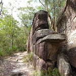 Interesting rock walk on the east side of the Lane Cove River (347611)